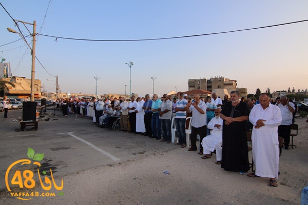 3eed ludjfddjfh (14).jpg